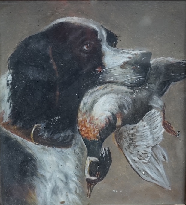 Early 20th century, English School, Study of a gun dog and game, unsigned, 22 x 20cm. Condition - fair to good